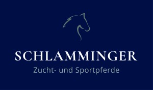 https://schlamminger-sportpferde.de/